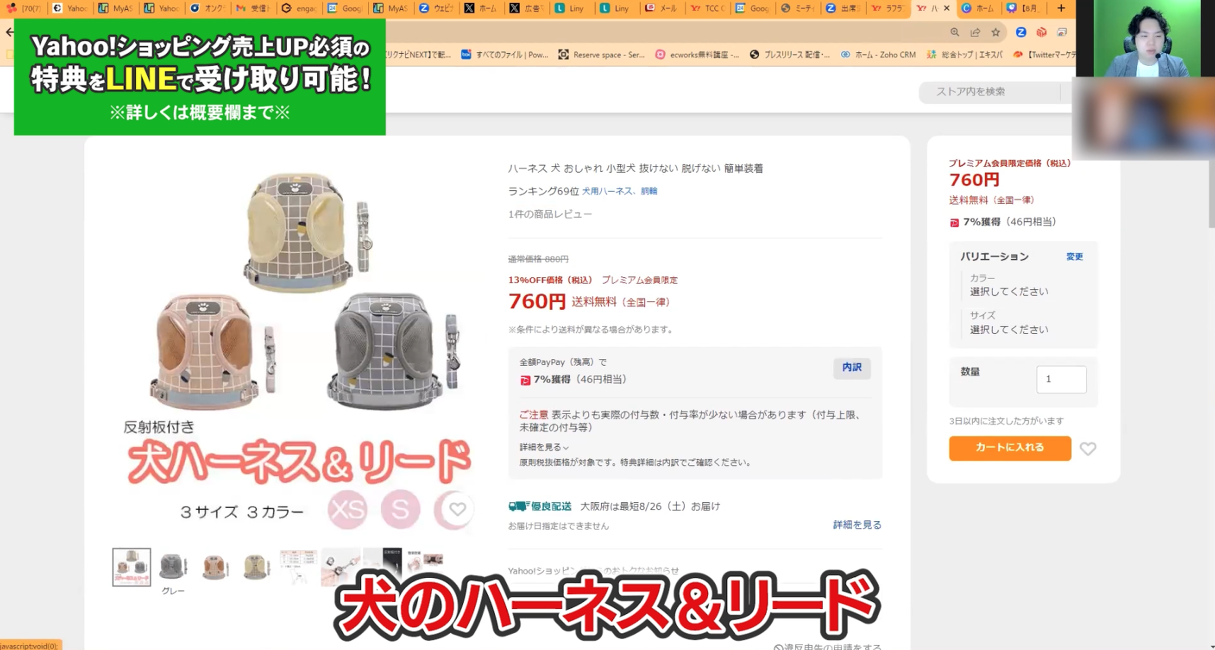 犬の「ハーネス&リード」の商品ページ