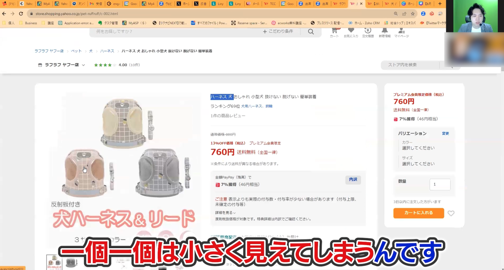 犬の「ハーネス&リード」の商品ページ
