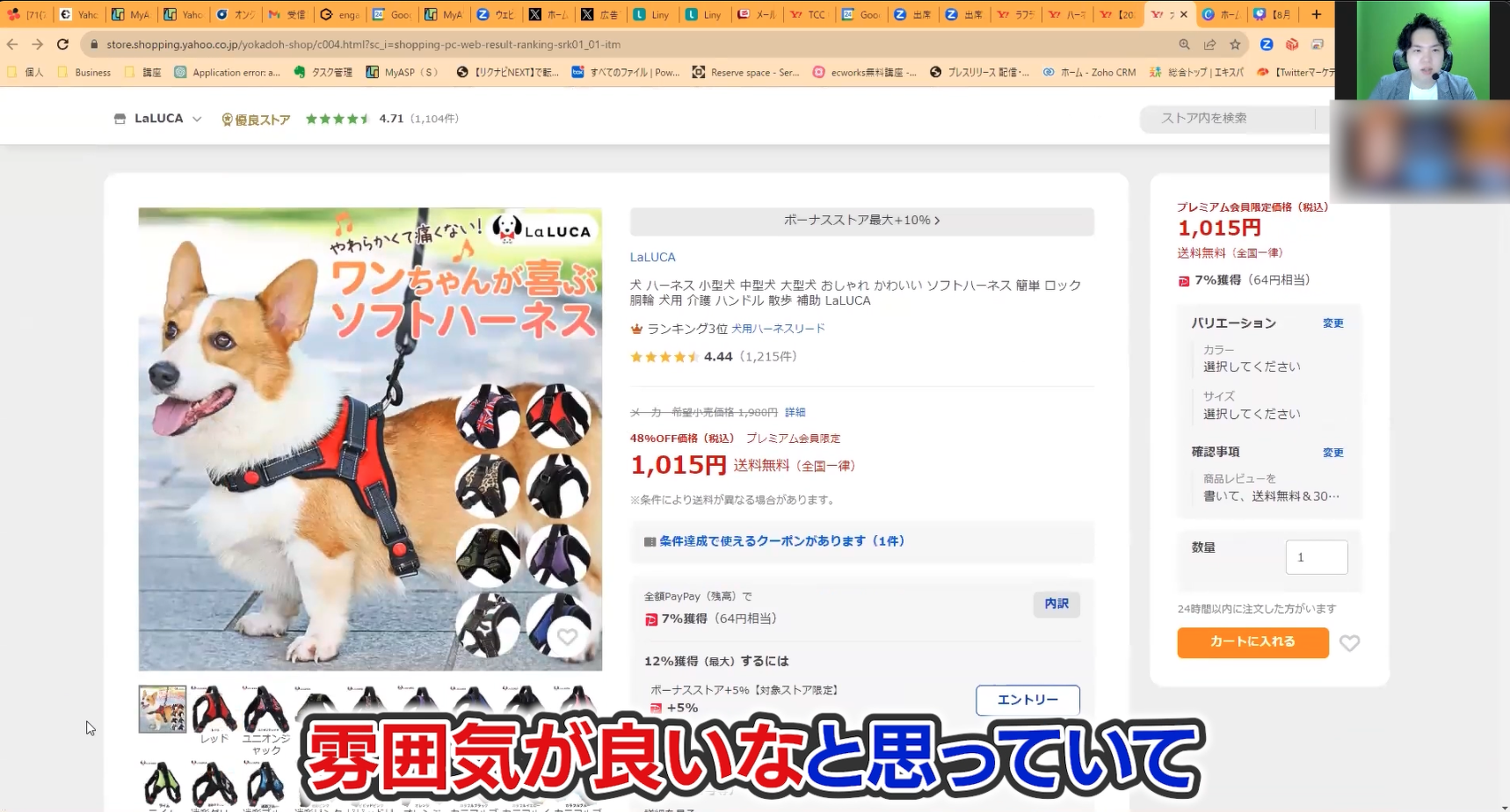 参考商品画像(犬が大きく載っていて、カラーバリエーションが小さく並んでいる)