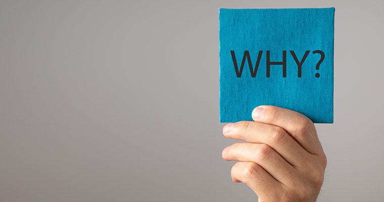 whyの札を上げる人